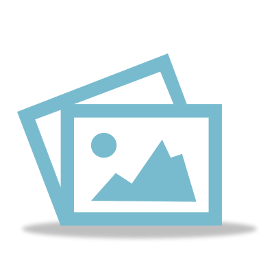 Bidders Auction Fee Waiver