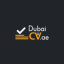LinkedIn Profile Writing Services - CV DUBAI