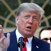 @Real Donald J Trump Tweets' Backup